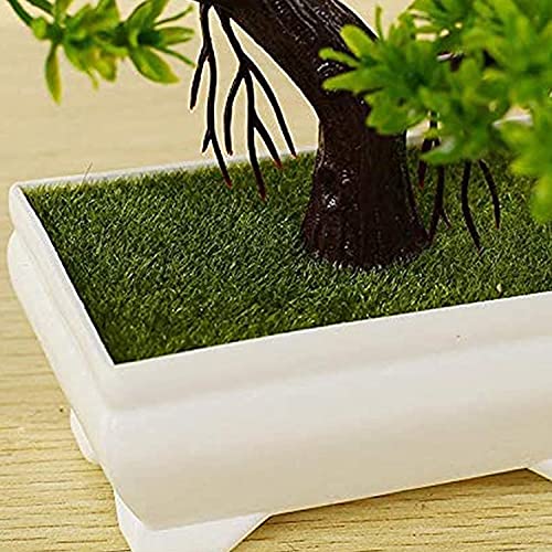 Xtore Small Stylish Decorative and Durable Beautiful Small Plastic Pots for Indoor Plants (White Planter Pot with Green Tree) - Image 3