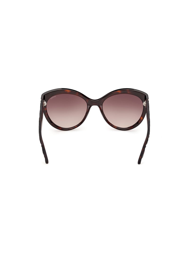 GUESS Women's UV Protection Butterfly Shape Sunglasses - GU0013052F61 - Lens Size: 61 Mm - Dark Havana - Image 4