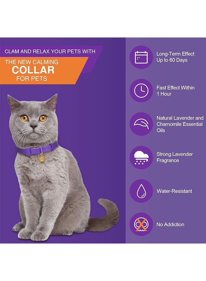 جمورو 4 قطع من طوق القطط المهدئ قابل للتعديل، طوق هادئ للقطط برائحة اللافندر، طوق مريح للقطط مع 2 قلادة للجراء والقطط تقلل من التوتر والقلق، حتى 15 بوصة - Image 3