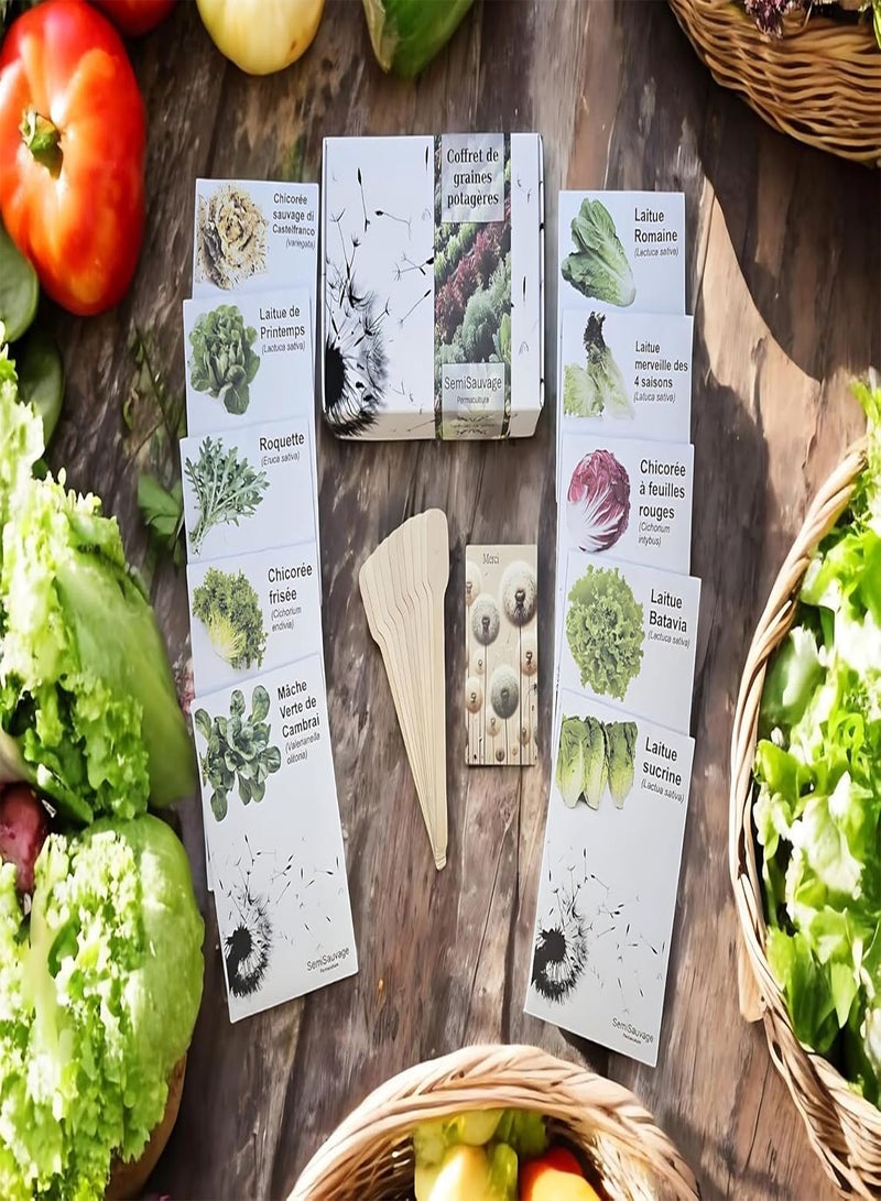 GGOOT Seed Box - Special Salads -  Permaculture  - Image 1