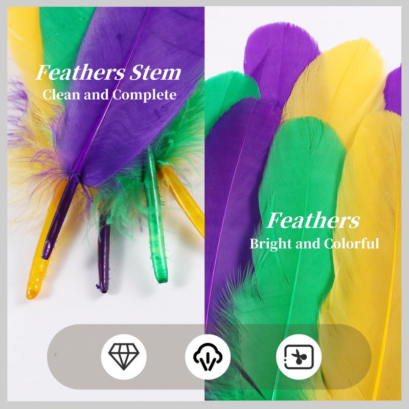 Holmgren Mardi Gras Craft Feathers Bulk - 200pcs 5-6inch Big Goose Feathers for Mardi Gras Decoration Carnival Masquerade Party Costume Decoration (Mardi Gras) - Image 5
