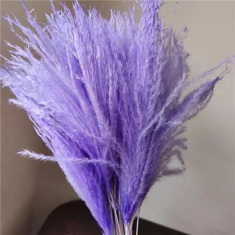 Bluejw Yunnan Bohemian Dried Pampas Grass Small Reed Plumes for Wedding Home Decor Christmas - Natural Fluffy Dried Plants - Image 4