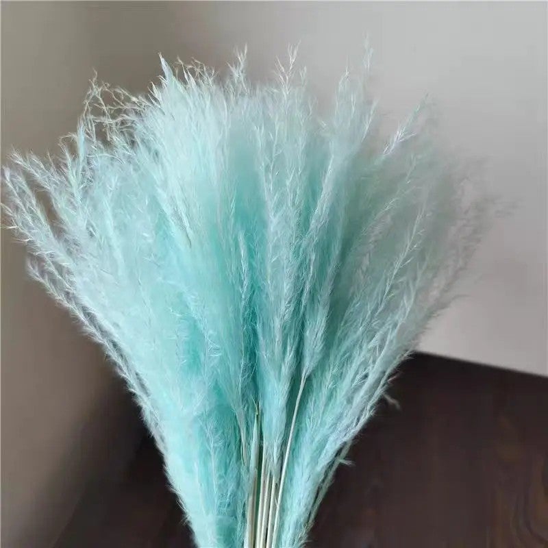 Bluejw Yunnan Bohemian Dried Pampas Grass Small Reed Plumes for Wedding Home Decor Christmas - Natural Fluffy Dried Plants - Image 5