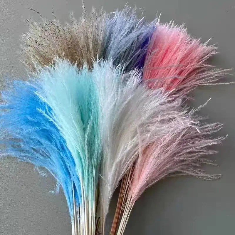 Bluejw Yunnan Bohemian Dried Pampas Grass Small Reed Plumes for Wedding Home Decor Christmas - Natural Fluffy Dried Plants - Image 2