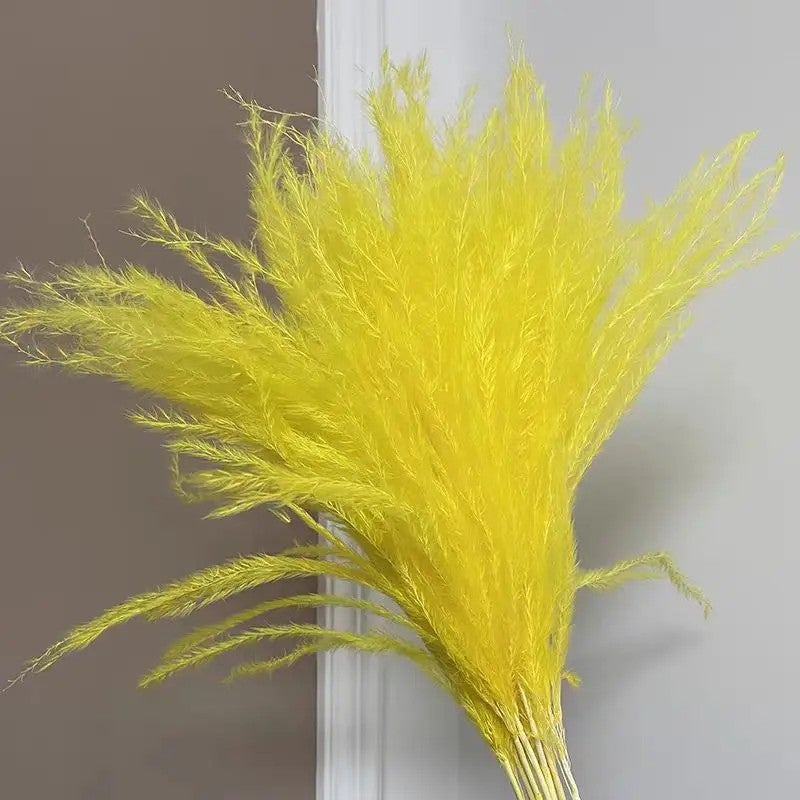 Bluejw Yunnan Bohemian Dried Pampas Grass Small Reed Plumes for Wedding Home Decor Christmas - Natural Fluffy Dried Plants - Image 3
