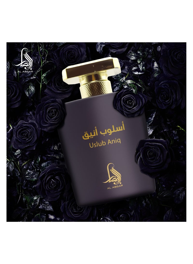 Al Absar Uslub Aniq   Perfume 100ML  - EDP - For Him - pzsku/Z89109D1A6420DB0022EEZ/45/_/1739355495/a623cf9e-c9b0-4ce6-9223-ae8ce876c535