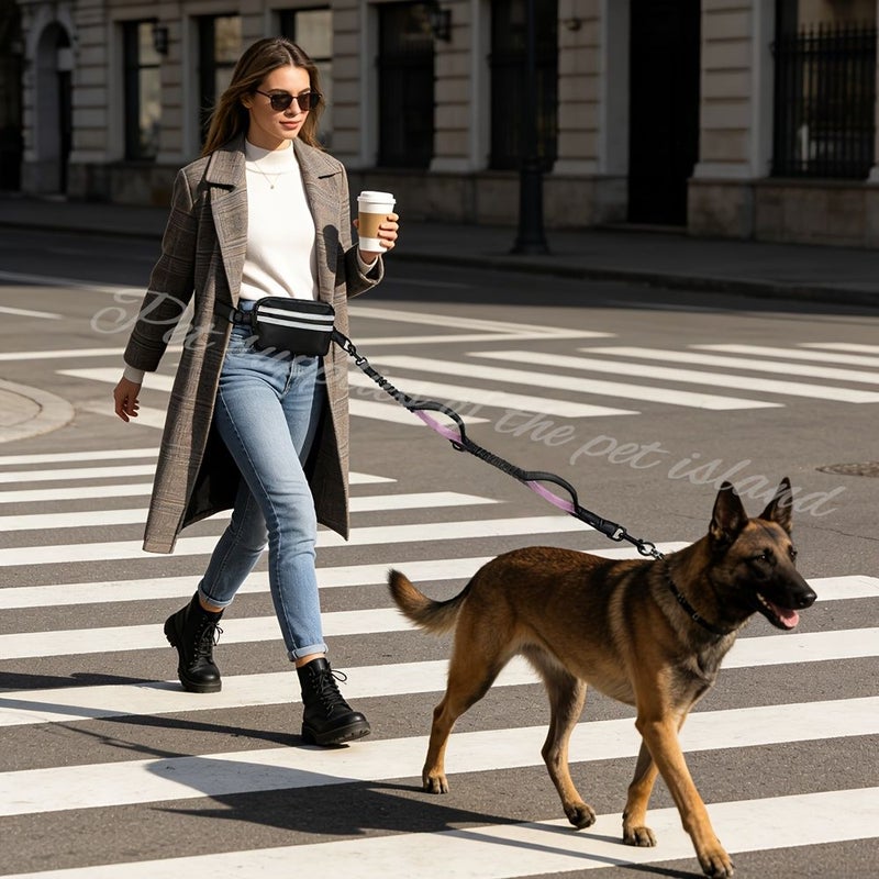 Mint Green Hands Free Dog Leash Waist Belt Retractable Reflective For Running Walking Hiking - Image 5