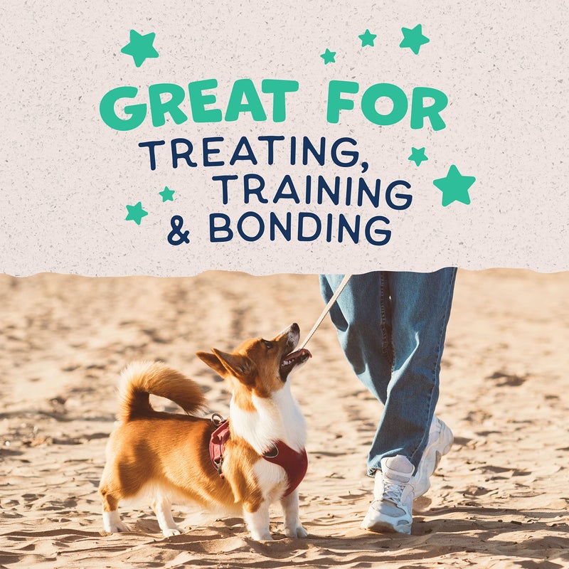 Natural Balance Limited Ingredient Rewards Crunchy Biscuits, Bite-Size Treats for Small-Breed Dogs, Made with Real Chicken, 8 Ounce (Pack of 1) - Image 5