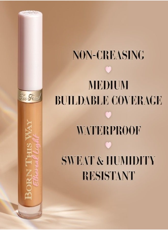 Too FacedCosmetics - Too Faced Born This Way Ethereal Light Illuminating Smoothing Concealer Honey Graham - Tan With Neutral Undertones 5ml - Image 1