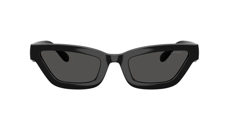 COACH Coach Woman Injected Sunglasses