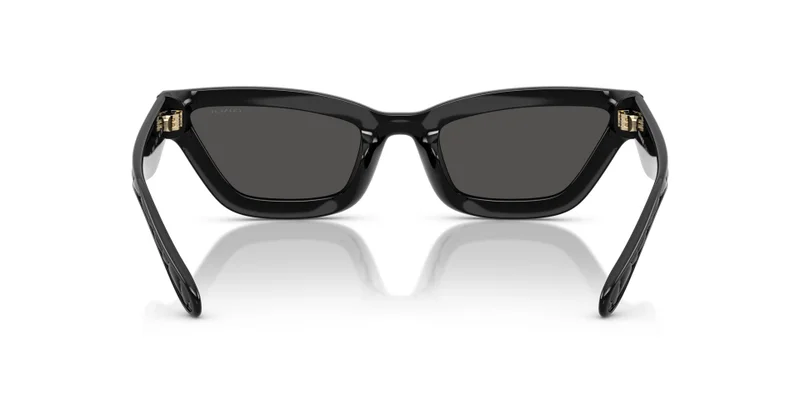 COACH Coach Woman Injected Sunglasses