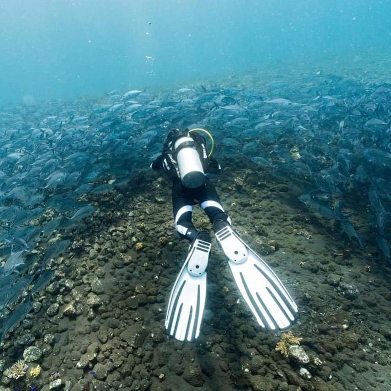 Mares Avanti Quattro Plus Open Heel Bungee Strap Fin, White, Regular - Image 2