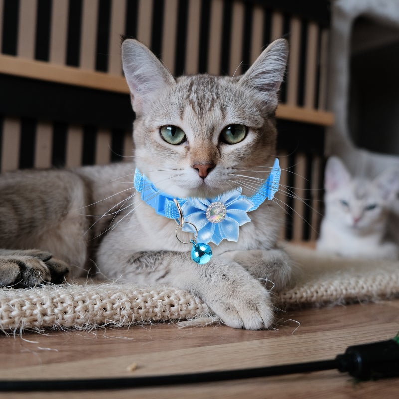 4Pcs Pet Flower Design Collar Adjustable Cat Dog Collar with Bell Simple Neck Decor - Image 5