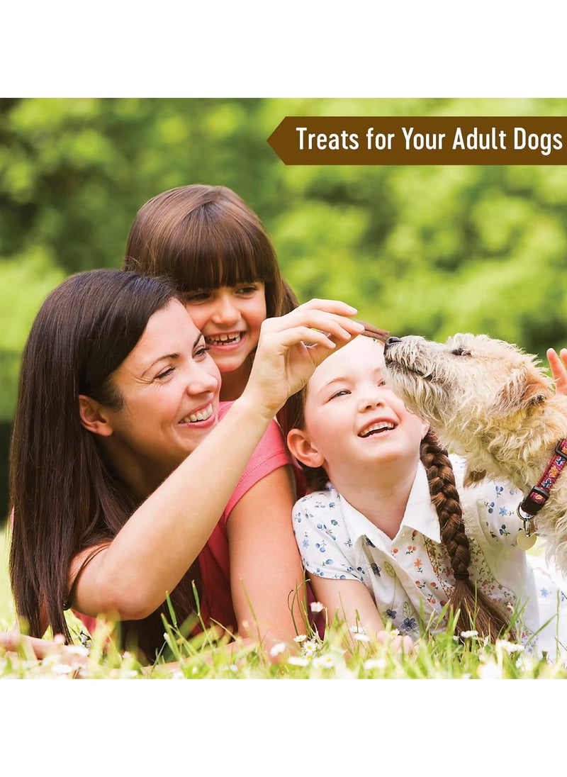 Dog Fest - Beef Meat Sticks Treats For Adult Dogs 4X45g - Image 1