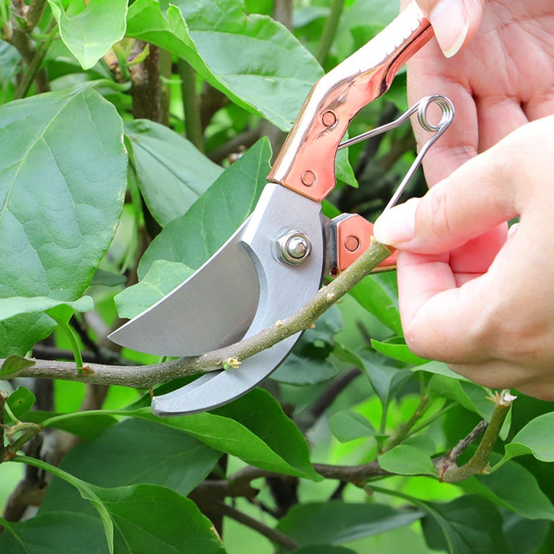 Bypass Pruning Shears Stainless Steel Garden Shears Garden Clipper Heavy Duty Pruners Secateurs Gardening Trimmer Scissors - Image 4