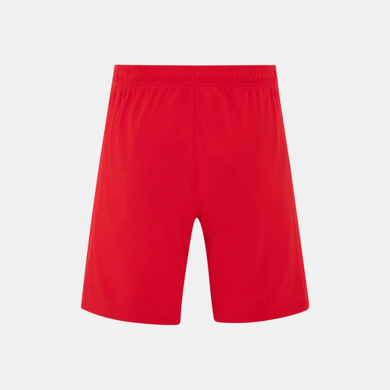 Nike Red Men's Paris Saint-Germain 25/26 3rd Replica Football Shorts for Men | Best Price UAE