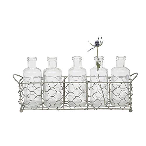 Creative Co-Op Wire Holder with 5 Glass Vase Bottles - Image 1