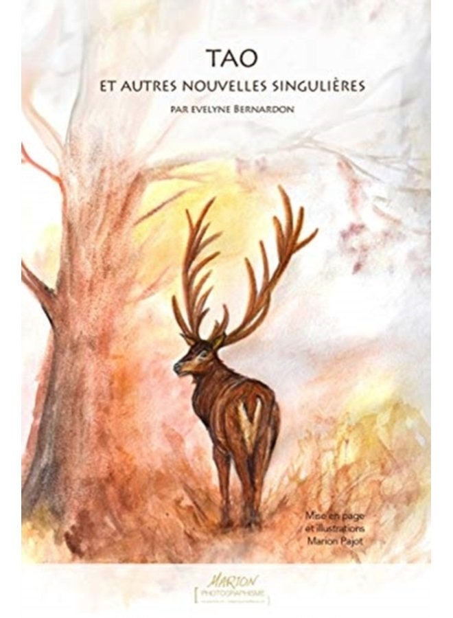 TAO et autres nouvelles singuli res - Paperback