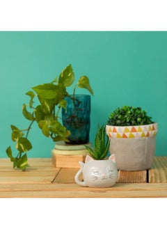 Chumbak Ceramic Planter- Grey, Standard, Elevate Your Plant Display With Stylish Grey Ceramic Planter, Available As A Single Piece - 200g - pzsku/Z891BFBDF0B3158DB5F61Z/45/_/1740031876/e1b6c29d-f357-4175-9b11-7ff60a7b3b4f