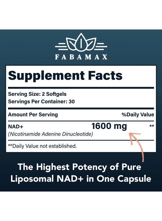 Fabamax 1600 mg Liposomal NAD Supplement, 98% Pure NAD+ Supplement, Superior Absorption, Alternative to Nicotinamide Riboside or NADH to Boost NAD+ for Aging Defense, Energy, Longevity,60 Softgels - Image 2