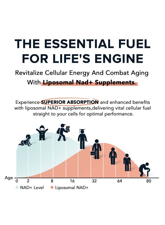 Fabamax 1600 mg Liposomal NAD Supplement, 98% Pure NAD+ Supplement, Superior Absorption, Alternative to Nicotinamide Riboside or NADH to Boost NAD+ for Aging Defense, Energy, Longevity,60 Softgels - Image 3