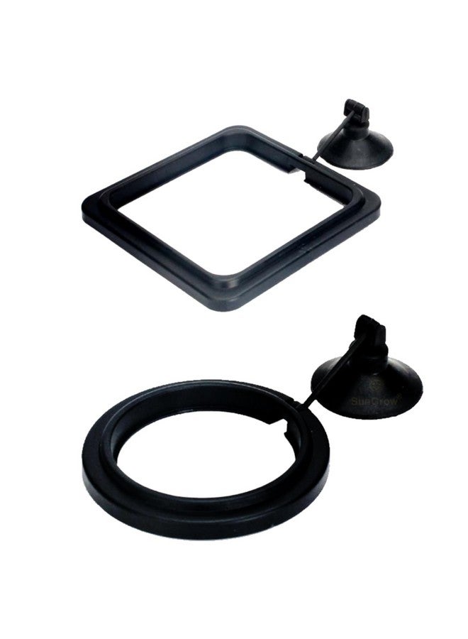 SunGrow 2 Betta Feeding Ring, Prevent Water Turbulence From Washing Food Into Filter, Practical Round Floating Food, Suitable For Guppy, Goldfish And Other Small Fish - Image 2