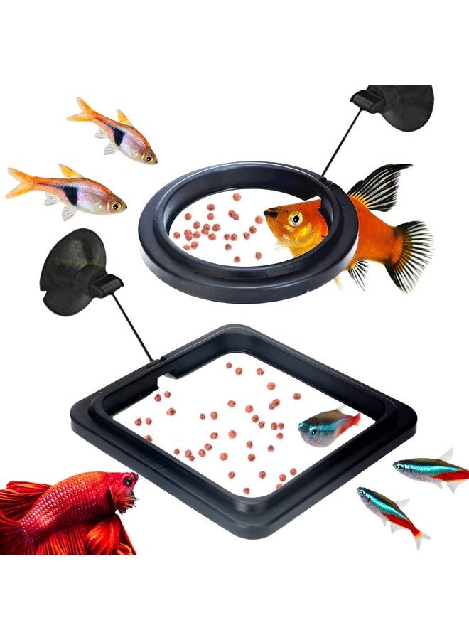 SunGrow 2 Betta Feeding Ring, Prevent Water Turbulence From Washing Food Into Filter, Practical Round Floating Food, Suitable For Guppy, Goldfish And Other Small Fish - Image 1