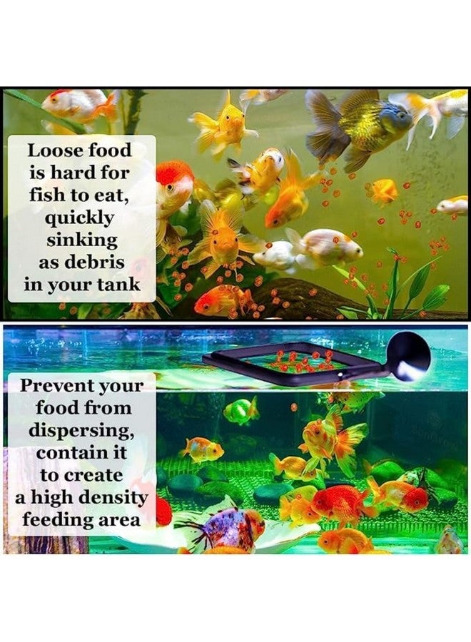 SunGrow 2 Betta Feeding Ring, Prevent Water Turbulence From Washing Food Into Filter, Practical Round Floating Food, Suitable For Guppy, Goldfish And Other Small Fish - Image 4