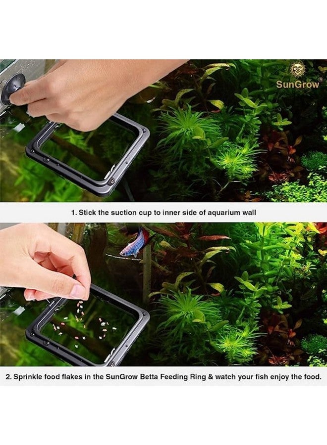 SunGrow 2 Betta Feeding Ring, Prevent Water Turbulence From Washing Food Into Filter, Practical Round Floating Food, Suitable For Guppy, Goldfish And Other Small Fish - Image 5