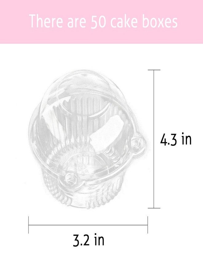 MR.FOAM Cupcake Holders Individual,50 PC Cupcake Containers Disposable Clear Plastic Single Muffin Dome Holders Cases Individual Cupcake Boxes Bulk (white, 50 pcs) - Image 2