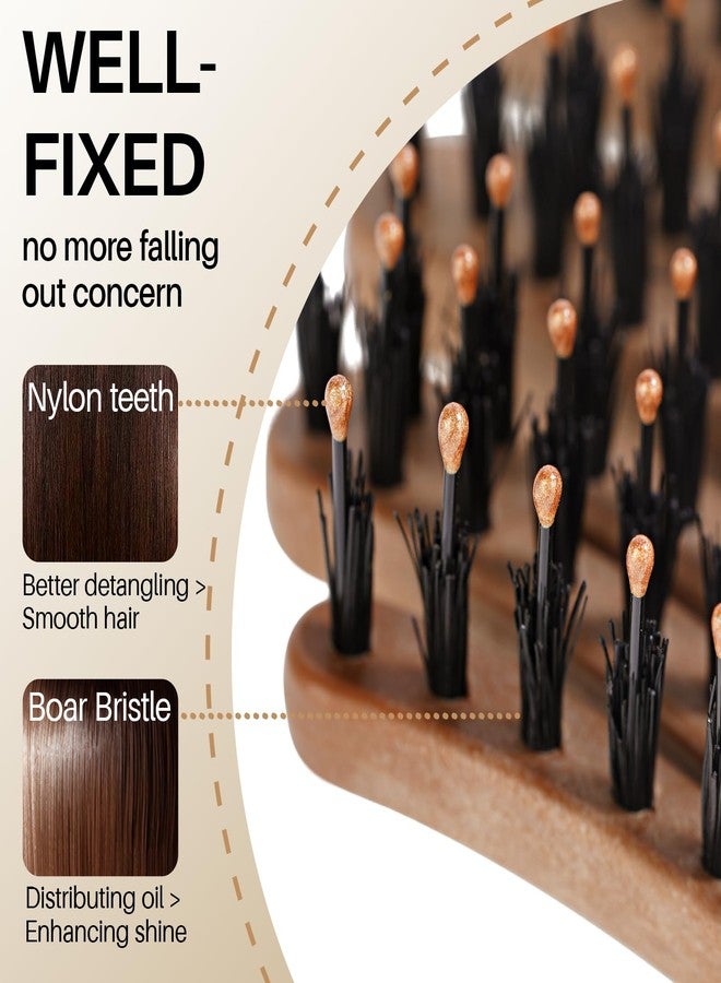 RHOS Pinecone Boar and Nylon Bristle Hair Brush for Women, Vented Boar Hair Brush, Enhance Shine on Hair, 10-Degree Curved Paddle Enable Better Massage on Scalp and Detangling Experience - Image 4