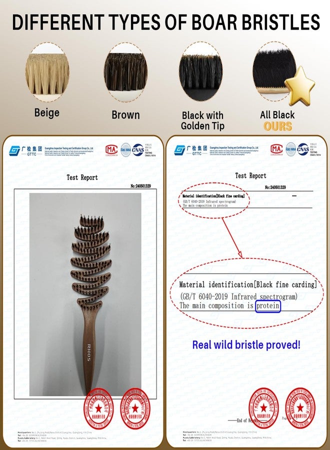 RHOS Pinecone Boar and Nylon Bristle Hair Brush for Women, Vented Boar Hair Brush, Enhance Shine on Hair, 10-Degree Curved Paddle Enable Better Massage on Scalp and Detangling Experience - Image 5