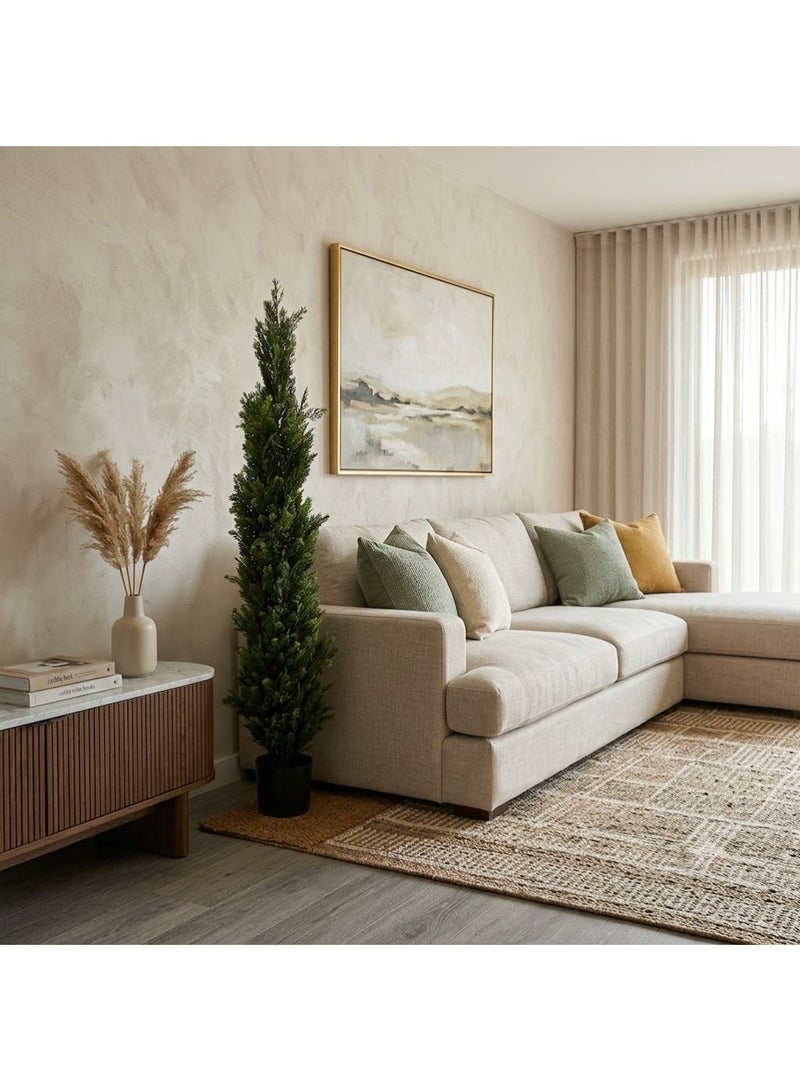 co arma Cypress tree in a round plastic pot with a diameter of 120 cm - Image 1