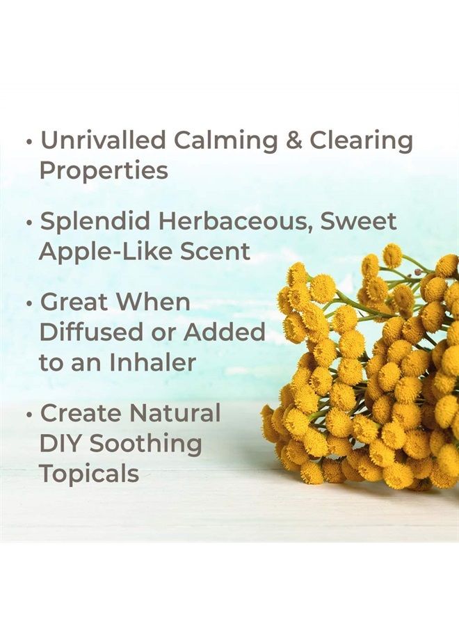 Plant Therapy Organic Blue Tansy Essential Oil 100% Pure, Undiluted, Natural Aromatherapy, Therapeutic Grade 2.5 mL (1/12 oz) - Image 1