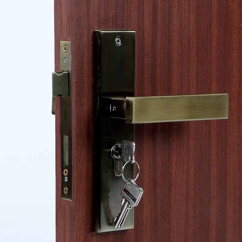 BlueSpace Premium 8" Cylindrical Plate Mortise Door Lock Handle Set/Mortise Lock with Brass Lock Body and One Side Key 60mm Brass Cylinder Set with 3 Brass Computer Keys (LB1007, Antique) - Image 4