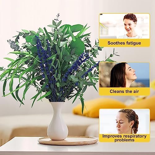 Gifugi 5 Kinds Mix Dried Eucalyptus & Lavender Flowers Bundle for Shower , 15''-17''Natural Real Fresh Preserved Eucalyptus Leaves and Lemon Hanging Plants, Home Bathroom Decor, Fragrance - Image 4