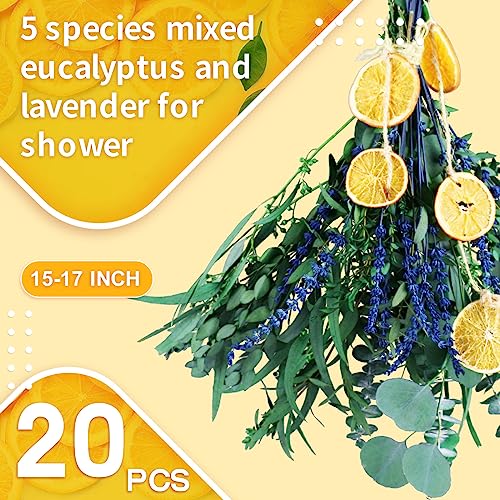 Gifugi 5 Kinds Mix Dried Eucalyptus & Lavender Flowers Bundle for Shower , 15''-17''Natural Real Fresh Preserved Eucalyptus Leaves and Lemon Hanging Plants, Home Bathroom Decor, Fragrance - Image 5