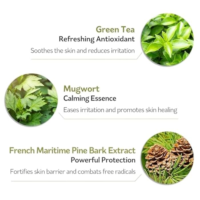 PESTLO PESTLE ROAD PESTLO Spicule Reborn Exfoliating Peeling Mask for Korean Glass Skin – Natural Marine Spicules, Green Tea & Wormwood for Gentle Exfoliation, Pore Care, Hydration & Radiant Skin, 4.23 oz (120ml) - Image 3