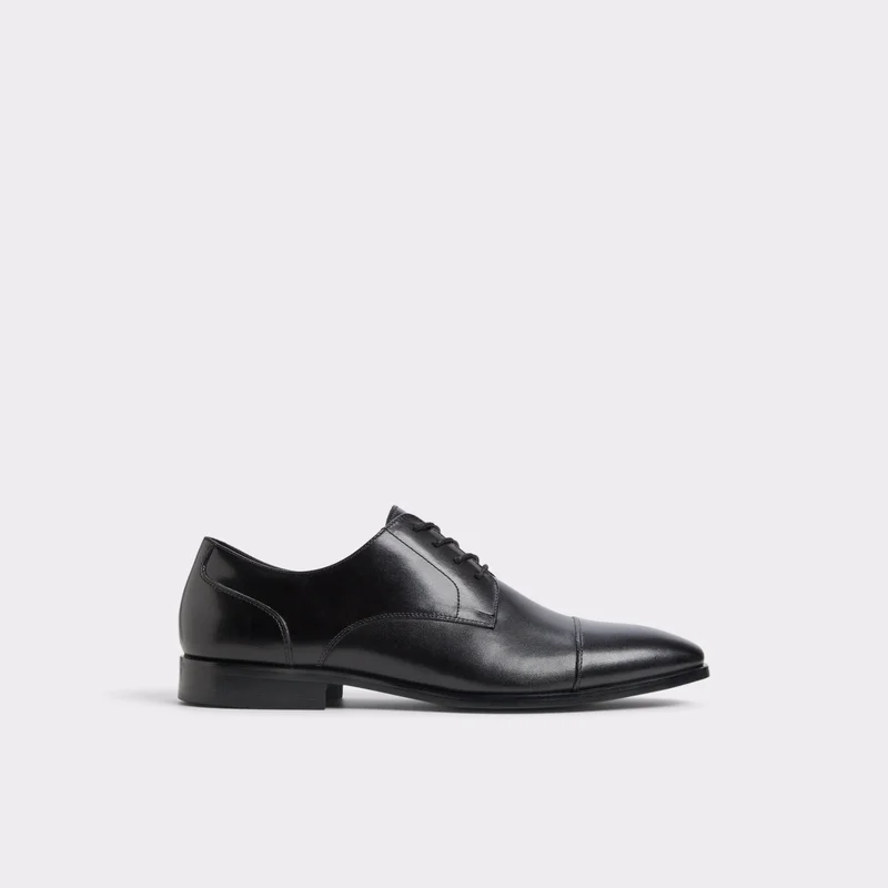 ALDO Lace Up Formal Shoes
