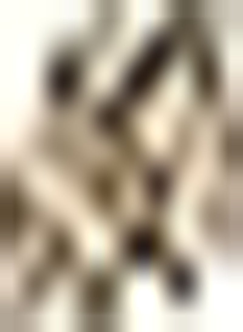 GGOOT 50 Pom Pom Giant Lilliput Seeds Grow Bright Mixed Coloured Garden & Vase Flowers - Image 3