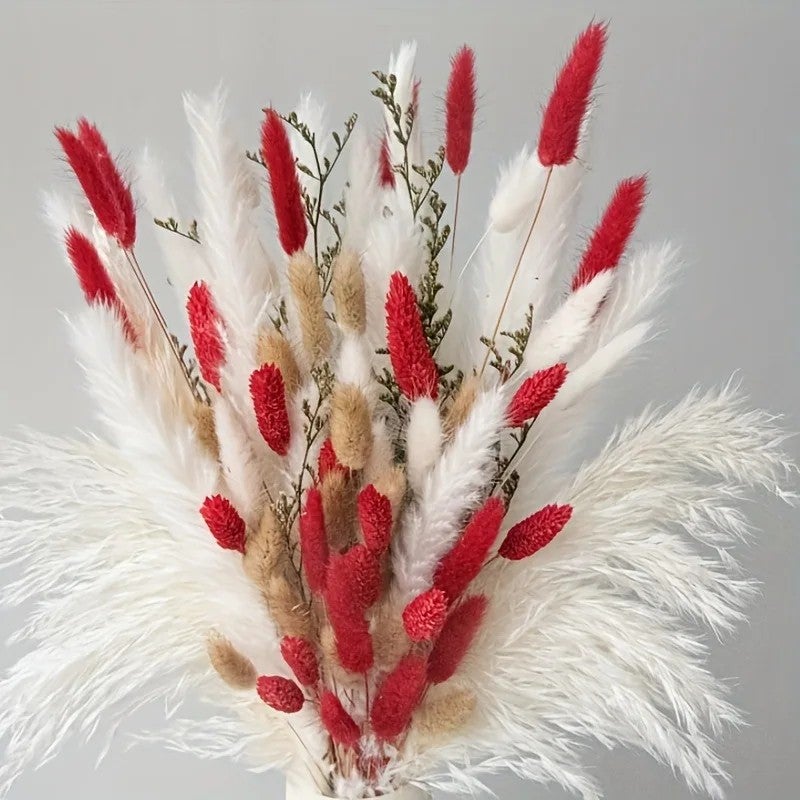 Bluejw G111 Luxury Fluffy Pampas Grass Small Reed Rabbit Tail Dried Plants for Wedding Home Graduation Christmas Halloween Easter Decor - Image 3