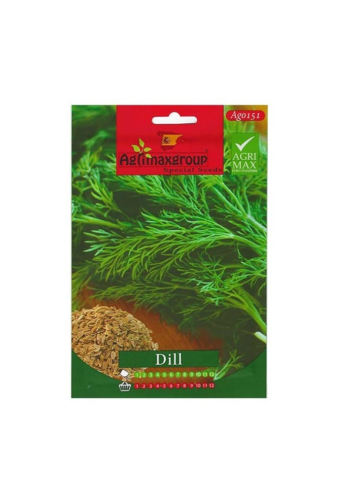 KNP Dill Seeds 