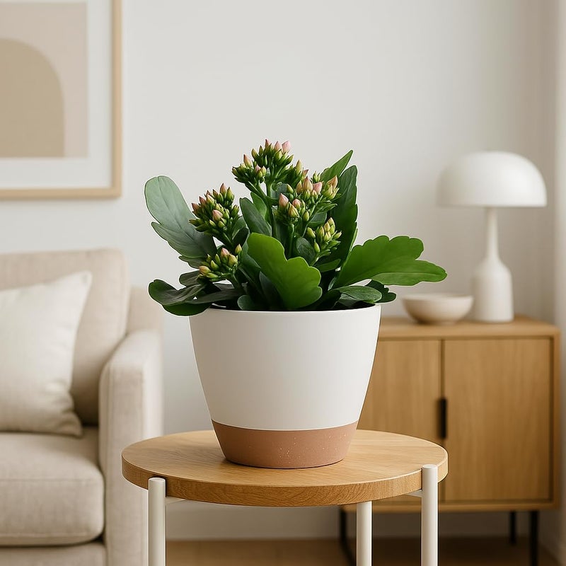 TYMENSH Plant Pots 12/10/9 inch Set of 3, Self Watering Flower Pots Indoor Outdoor, Planters with Drainage Hole Saucer Reservoir, White - Image 5