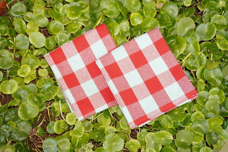 CRAZYWEAVES Crazy Weaves Cotton Hand Towel Lunch Towel Daily use towel Face Towel Pack of 4 (18" * 28")100%pure cotton towel (RED GREEN BIG CHECK, 18 X 28) - Image 3