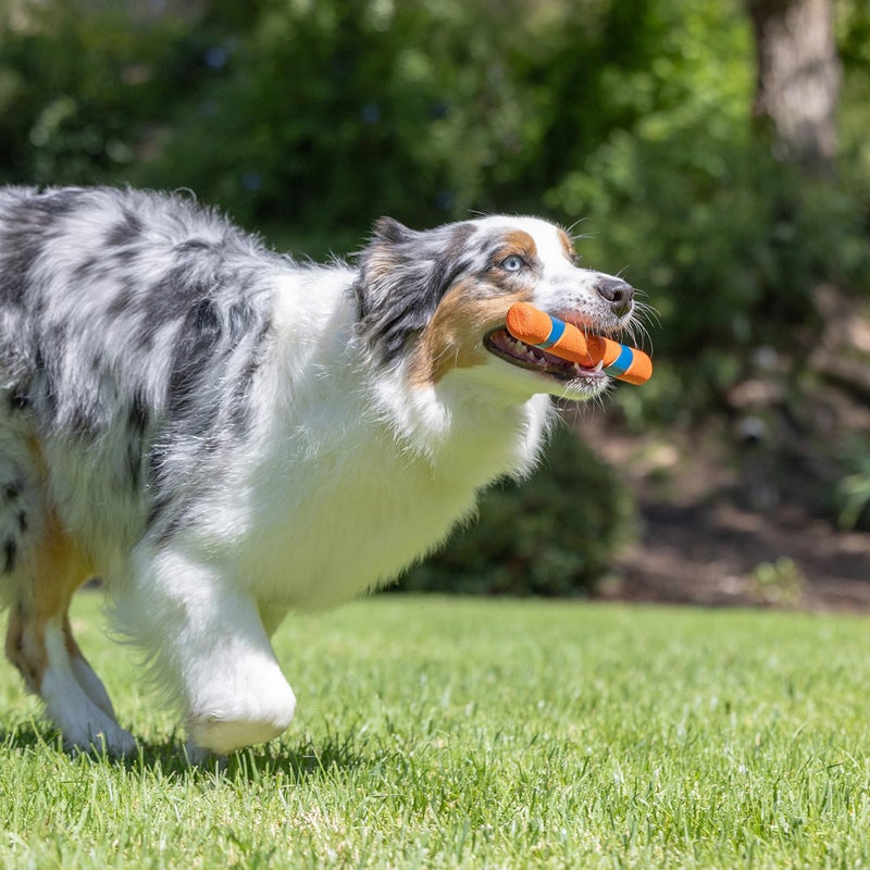 Chuckit! Interactive Dog Toy Ultra Fetch Stick Day & Night Bundle, 12 Inches, Outdoor, Pack of 2 - Image 5