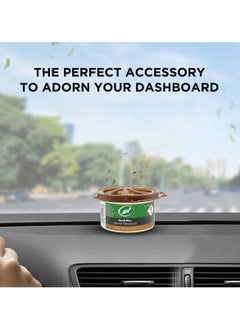 Car Air Freshener – Royal Musk Scent, Long-Lasting Fresh Smell, Compact Size,  for Cars, Office  and Home - Turtle Wax - Royal Musk fragrance - 40g - pzsku/Z8927D50B4F3E6DBD866BZ/45/_/1729614742/a5a5bb0a-7d47-47cf-93d7-ec6168cb7b75