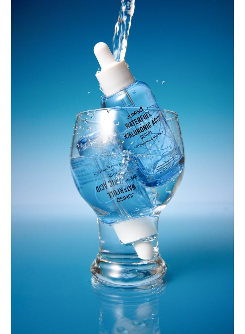 JUMISO Waterfull Hyaluronic Acid Serum 50ml - Image 1