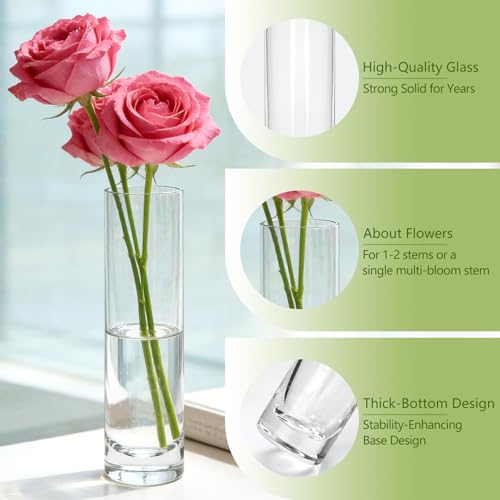Brajttt 7.48 inch Tall Vases for Flowers,12PCS Glass Cylinder Vase, Single Rose Bud Vase for Event Decor,Bud Vases in Bulk for Wedding Centerpieces,Home Aesthetic Desk Decor, Party Decorations - Image 3