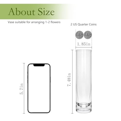Brajttt 7.48 inch Tall Vases for Flowers,12PCS Glass Cylinder Vase, Single Rose Bud Vase for Event Decor,Bud Vases in Bulk for Wedding Centerpieces,Home Aesthetic Desk Decor, Party Decorations - Image 2