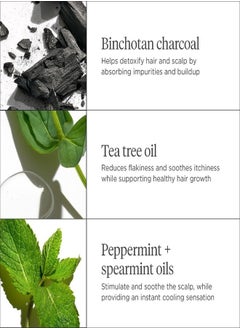 Briogeo Briogeo Scalp Revival Charcoal + Tea Tree Scalp Treatment Serum 30ml Detoxify & Soothe Scalp for Healthier Hair  - Image 4